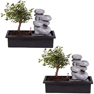 Plant in a Box – Bonsai boompje met Easy-care watersysteem én stromende waterval over Zen stenen – kamerplant – Hoogte…