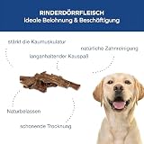 Tiernahrung Schwenner Rinderdörrfleisch für Hunde - 8-12 cm leckere Kaustangen - Hundeleckerli aus Trockenfleisch - 2500g Hundesnack