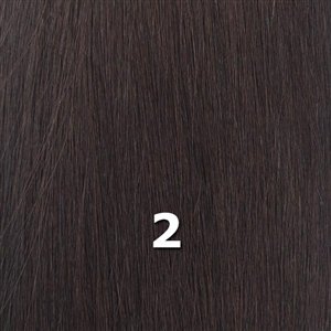 ISIS Red Carpet Synthetic Hair Lace Front Wig - RCP715 VERONICA (2 - Drk Brn)