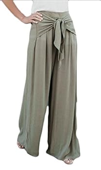 Paperback Career Success: Navigating the New Work Environment Book