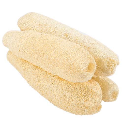 Madholly 4 Packs Large Natural Exfoliating Loofah Sponges (9.8-13.8'' Length)- Organic Spa Skin Care Cleansing Exfoliation Sponge Loofahs Luffa Loofa for Bath Shower Body Back Scrubber