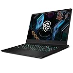 MSI-GP76-Leopard-Gaming-Laptop-173-240Hz-IPS-Level-Display-Intel-Core-i7-11800H-NVIDIA-GeForce-RTX-3070-16GB-1TB-SSD-Win10-Black-11UG-076
