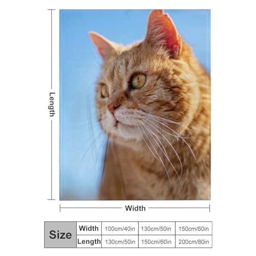 Couverture polaire chat orange pour vos soirées cocooning sur le canapé - 3