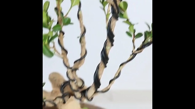 Amazon | Copeflap 盆栽 針金 セット アルミワイヤー 園芸 0.8mm 1.5mm