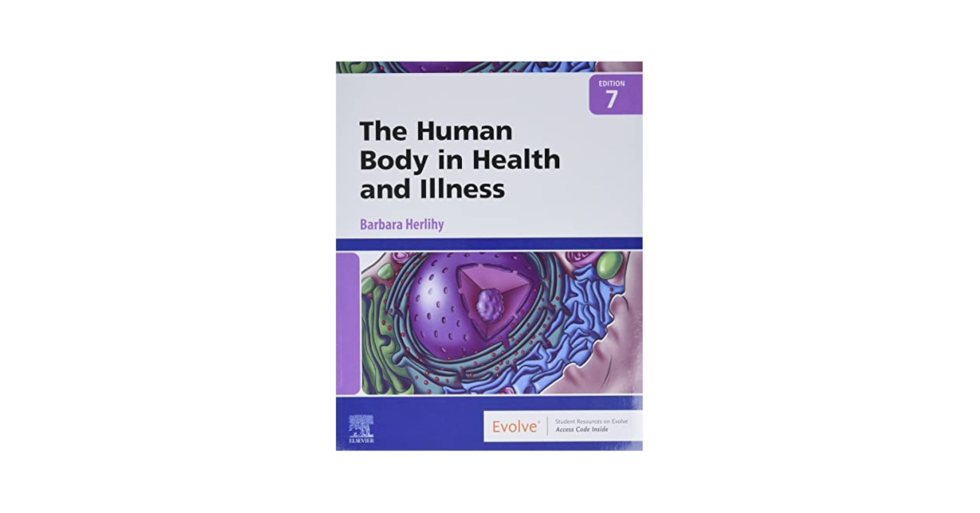 値下げ❗️The Human Body in Health and Illness The Human Body in Health & Disease - Softcover