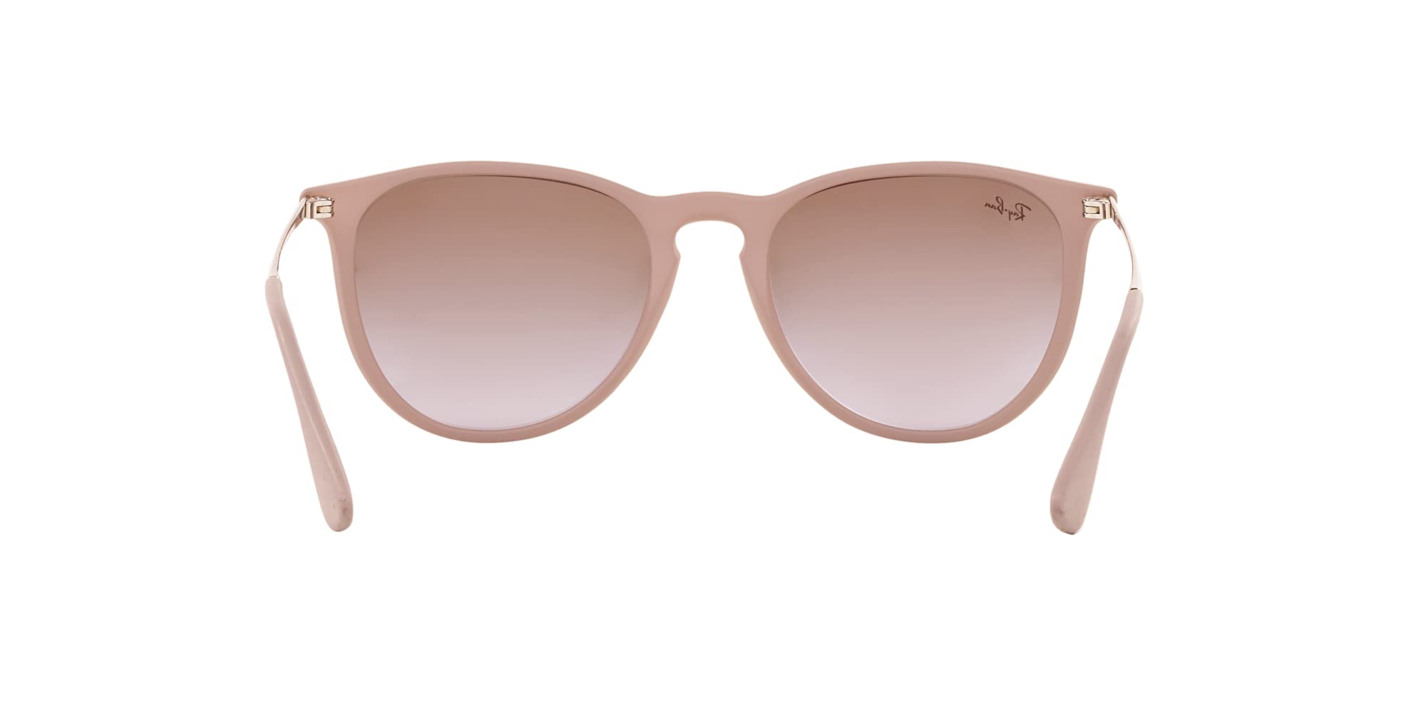 Ray-Ban RB4171 Erika Sunglasses + Vision Group Accessories Bundle