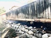 Review Image by Feli Feli