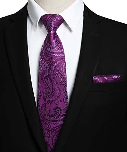 Image of HISDERN Ties for Men Paisley Tie and Pocket Square Woven Classic Floral Mens Ties Handkerchief Set Wedding Party Necktie