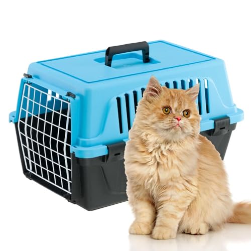 Ferplast Transportbox Katze, Hundetransportbox kleine Hunde und Katzen bis 5 kg, Tür aus plastifiziertem Eisen, Lüftungsschlitze, 32,5x48xH 29 cm, Hartschalen Transportbehälter Atlas 10 EL, Hellblau