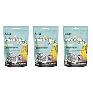Higgins 3 Pack of Mineral Grit, 6 Ounces, for Small Birds Including Canaries Finches and Parakeets