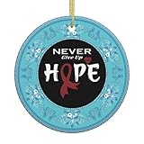 Christmas Ornament, Multiple Myeloma Awareness Christmas Ornaments, Ceramic Pendant, Xmas Tree Hanging Decoration, Holiday Decorations, Family Ornaments 2025, Gifts