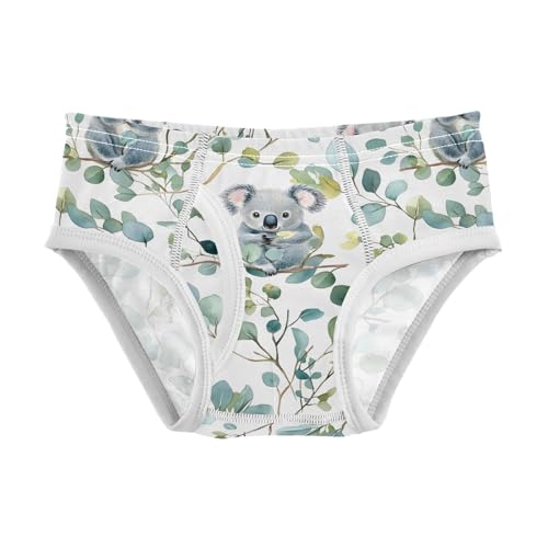 Tropical Koala Eucalyptus Branches Toddler Boy's Underwear 2T 202b9028