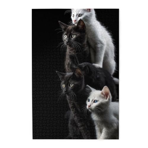 ؐs[X 1000s[X L2 WO\[pY lp eqpY qFBւ̃v[gɂł