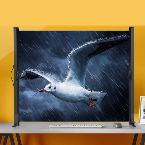 Écran de projection de bureau rétractable et portable avec support stable de 50 pouces