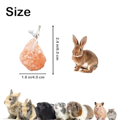 PINVNBY Salt Blocks for Rabbits,4 Pieces Himalayan Small Pets Lick Salt Block Natural Mineral Salts with Hook Hanging Small Animals Chew Toys for Horses Bunny - Image 3