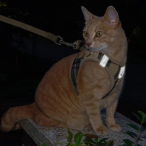 PUPTECK Cat Harness and Leash Set - Soft Comfortable Breathable Harness and Durable Leash Adjustable Vest Escape Proof… - Image 7