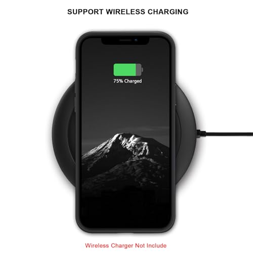 Coque iPhone 12 Pro Max ajustement précis carbone et bois véritable
