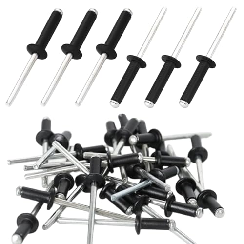 Pamtns 100 Pièces Rivets Aveugles en Aluminium à Large Aile Rivet Pop Rivets Plaque Immatriculation Noir pour Pince a Rivet Rivets Pop pour Métal Rivet 4.8mm x 13mm pour Meubles Boîte de Rangement