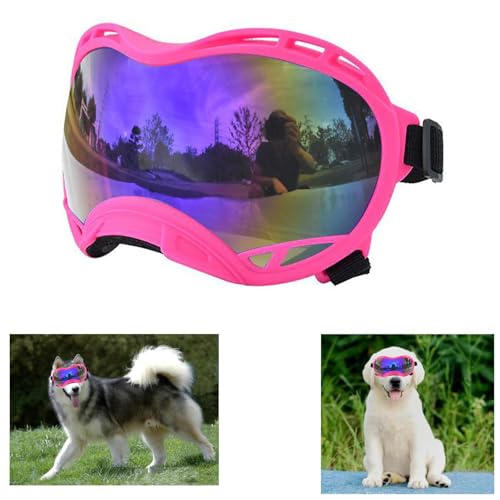 �\�t�g�A���`UV�h�b�O�S�[�O���A��^���p�A�T���O���X�A�h�o�h���h��X�L�[�A�C�v���e�N�V����(�s���N�t���[��&�u���[�����Y/�X���[��)