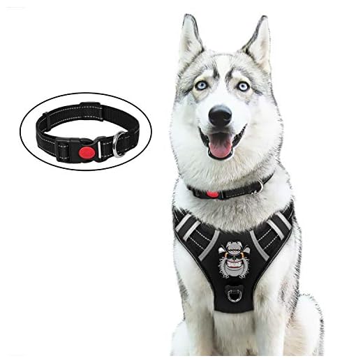 BABYLTRL Silver Big Dog Harness No-Pull Anti-Tear Adjustable Pet Harness Reflective Oxford Material Soft Vest for Medium Large Dogs Easy Control Harness (XL, Black)