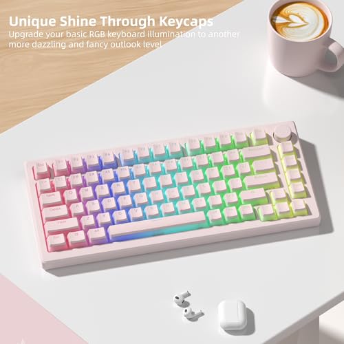 Image of Womier Double Shot PBT keycaps, Shine Through Pink Keyboard Key caps | OEM Profile Pudding Custom keycaps 75 Percent 130-key Set for 60% 65% 75% 100% Cherry Gateron MX Mechanical Keyboard-Pink