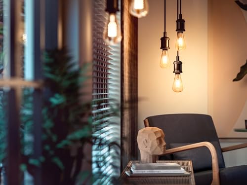 Ampoule LED connectée Philips Hue ST72 Edison E27 IP20 580lm doux - vue 6