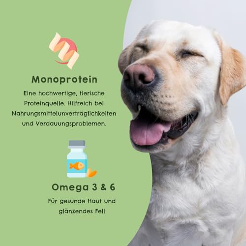 HAPPY JACKY | extra sensitives High-Premium Nassfutter für Hunde ohne Getreide | Huhn mit Wildreis, Brokkoli & Hirse | ohne Konservierungsstoffe, Zuckerfrei | 6x820g