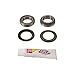 New Pivot Works Steering Stem Bearing Kit PWSSK-H05-420 For Honda CRF 450 R