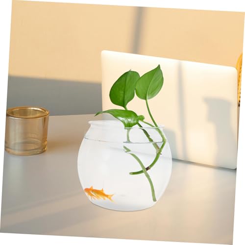 Aquarium transparent compact pour petit appartement sans espace