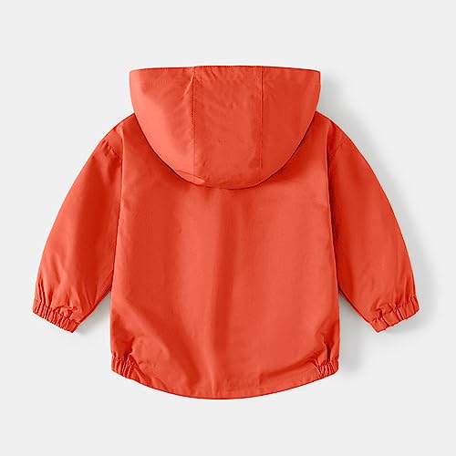 Image of Volunboy Toddler Boys Windbreaker Casual Outerwear Kids Lightweight Zip Hooded Jacket Baby Cute Dust Coat