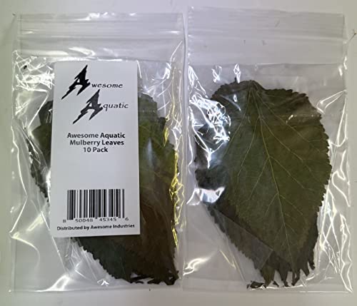 Image of Awesome Aquatic Mulberry Shrimp Leaves Natural Botanical Leaf Food Organic Treat Aquarium Fish Shrimp Terrarium High Protein Vitamin Mineral Fiber Healthy Habitat Environment (Mulberry 10 pk)