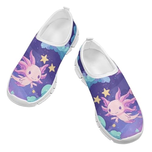 Doojoayie Axolotl Shoes for Girls Gym Shoes Slip On Shoes for Child Back to School Casual2