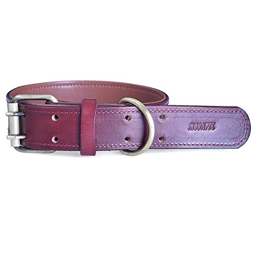 Moonpet Personalized Dog Collar - Custom Engraved Id Soft Padded Genuine Leather Dog Collar - Heavy Duty Strong Adjustable For Small Medium Large X-Large Male Female Dogs Training - L,17.2-22'' #TOP1