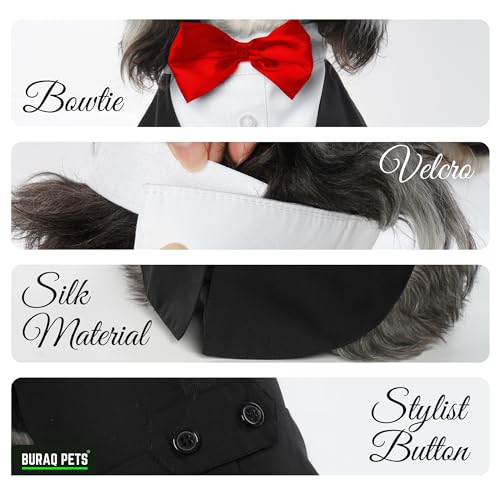Image of Buraq Premium Dog Wedding Suit, Elegant Tuxedo with Bow Tie & Bandana, Comfortable, Washable Outfit for Dogs (M - Blue)