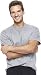 Hanes Men's Short Sleeve Beefy T-Shirt (Ice Gray, Large)
