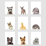 Palace Learning Set of 9 Woodland Animal Poster Prints - Cute Baby Forest Animal Wall Art - Nursery Room Decor (8