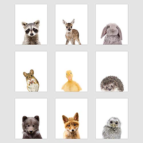 Set of 9 Woodland Animal Poster Prints - Cute Baby Forest Animal Wall Art - Nursery Room Decor (8