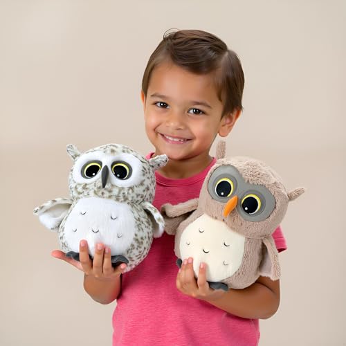 Image of Ryttir 2 Pack 11.7Inch Chubby Small Owl Stuffed Animal, Adventure Stuffed Owl Plush Toy, Brave Boy's and Girl's Room Decor,Funny Owls Gift for Baby Kids Women