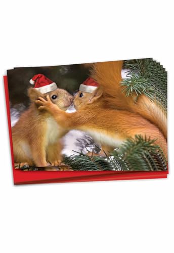 Carte de Noël Animal Smackers : lot de 12 pour amuser vos repas de fête en famille