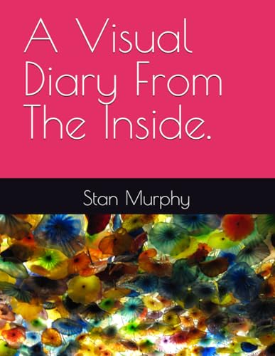 A Visual Diary From The Inside.