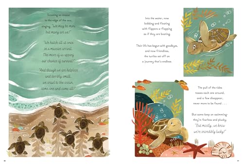 5-Minute Ocean Stories (5-Minute Discovery Stories) - Image 7