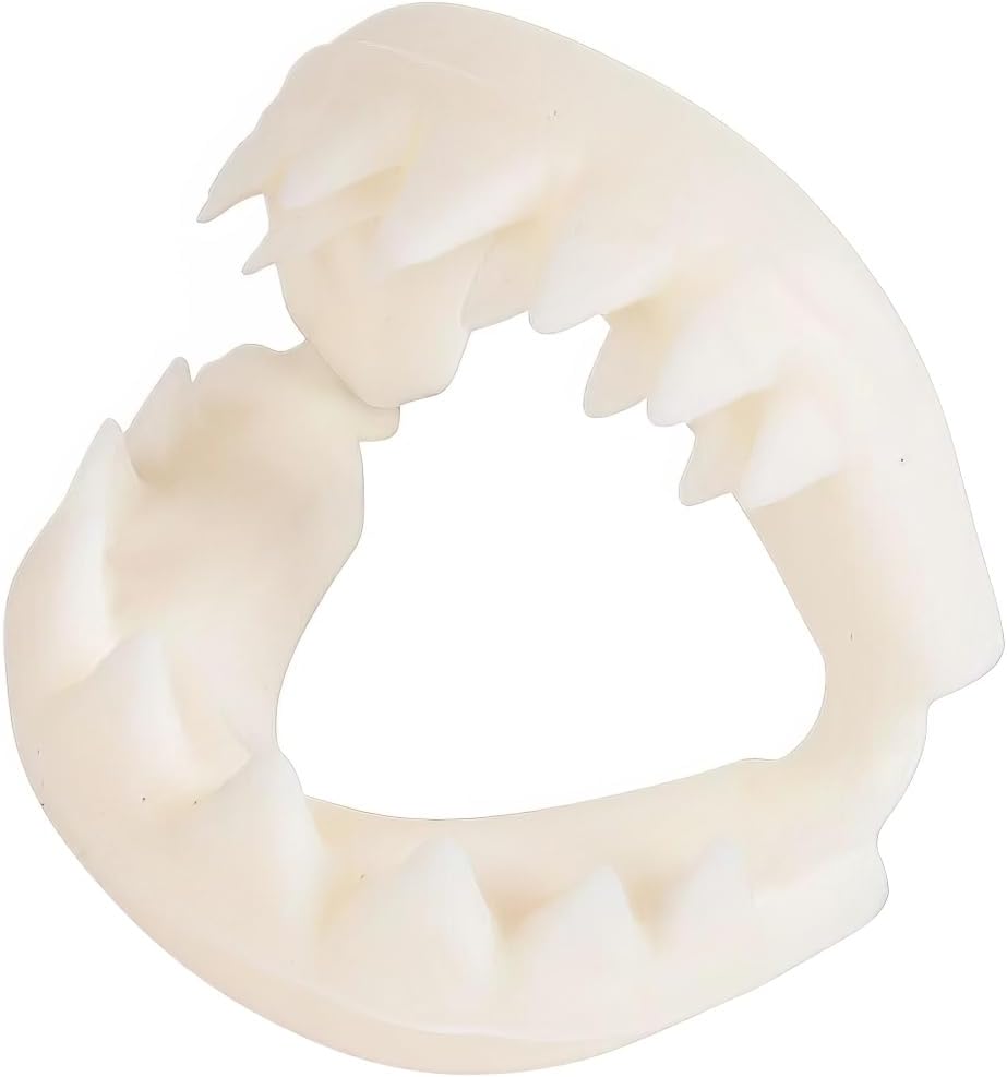 Rhode Island Novelty Great White Shark Teeth