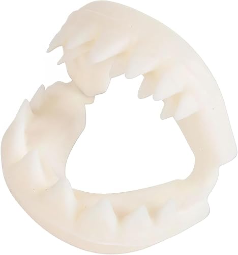 Rhode Island Novelty Grandes dientes de tiburón blanco
