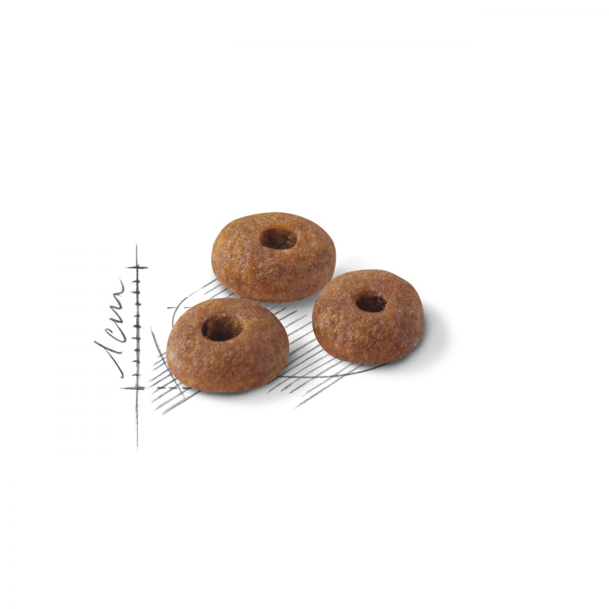 Royal Canin C-58523 Fit - 10 kg