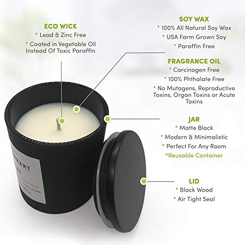 Coastabay Apples & Maple Bourbon Candle | Natural Soy, Highly Scented Fall And Christmas Candles, Long Lasting 45 Hour Non-Toxic Burn, Minimalistic & Modern Design, Hand Poured In The Usa – 7.1Oz #TOP2