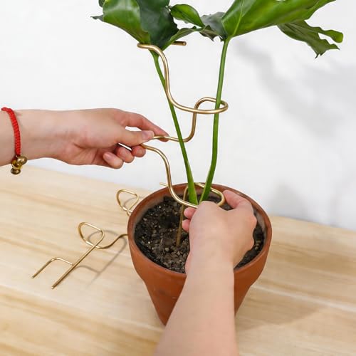 GOOOXIM 3PCS Indoor Plant Support – Durable Metal Garden Stakes for Monstera, Flowers & Herbs – 12.6 Inch Trellis for Indoor & Outdoor Plants, Easy-to-Use Support Structures by Goooxim - Image 6