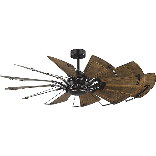 Progress P250098-129 Springer II - 12 Blade Ceiling Fan in