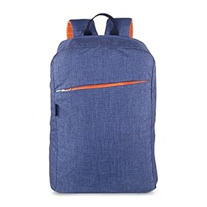 Croma Standard Backpack for 15.6 Inch Laptop with Padded Shoulder Straps (CRPCB6101SSD01, Blue)