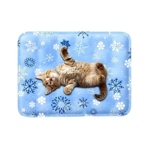 Tapis de refroidissement pour chien chat tapis d'eau confortable