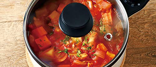 ライソン おひとりさま鍋 1L KDPC-10AWサムネイル7